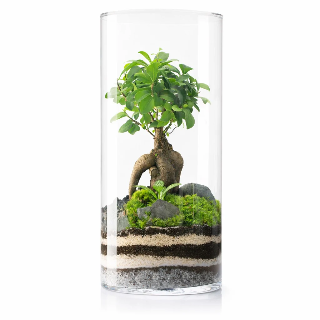 Miniatura 1